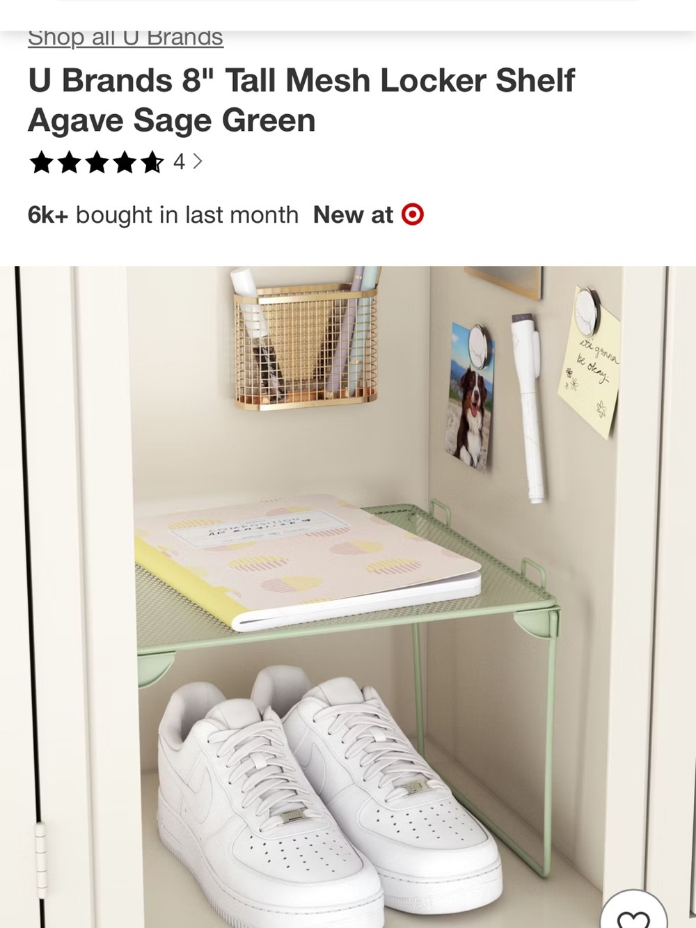 Mesh Locker Shelf - Tall 8"